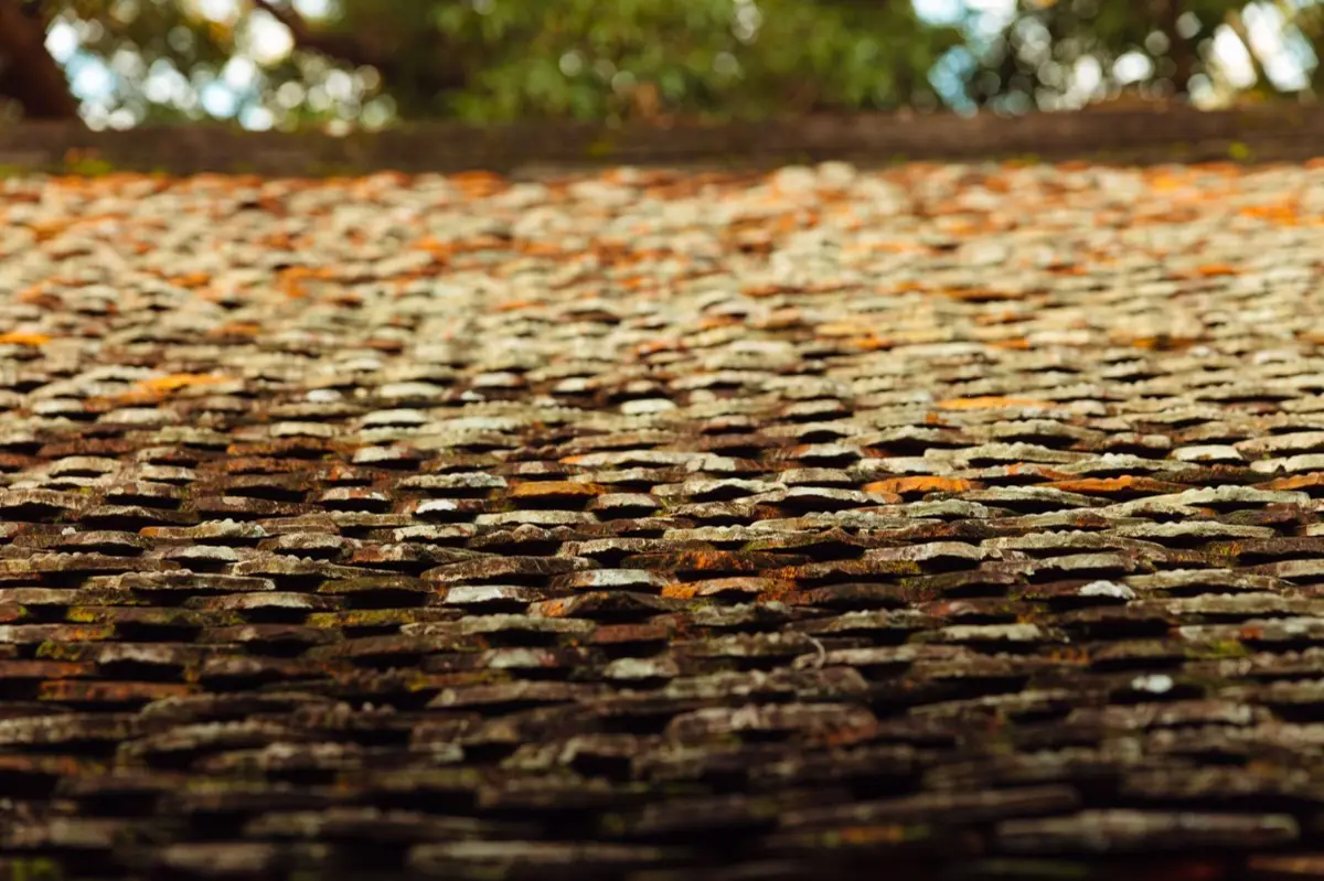 Aging shingle roof with moss growth and granule loss in Scranton, PA